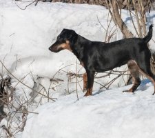 Пхото 3