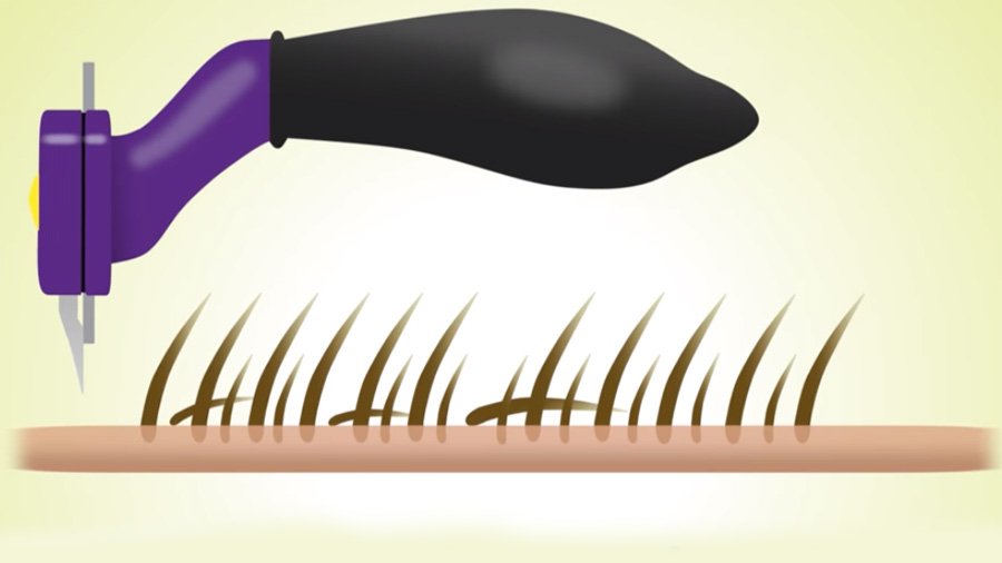 Фурминатор за мачку