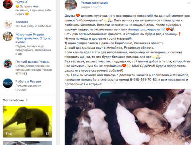 ВК пост, ко и када узима штене