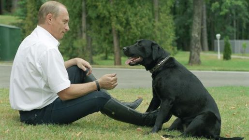 Путин са лабрадором