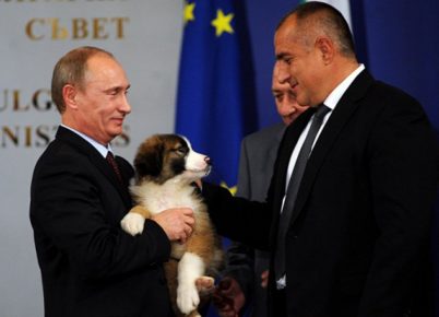 Презентација бугарског овчара Путину