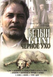 Бели бим, црно ухо