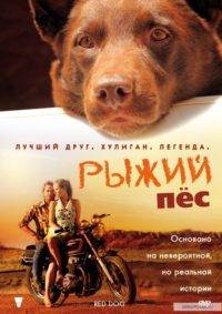 Црвени пас