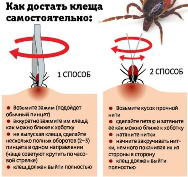 „Како